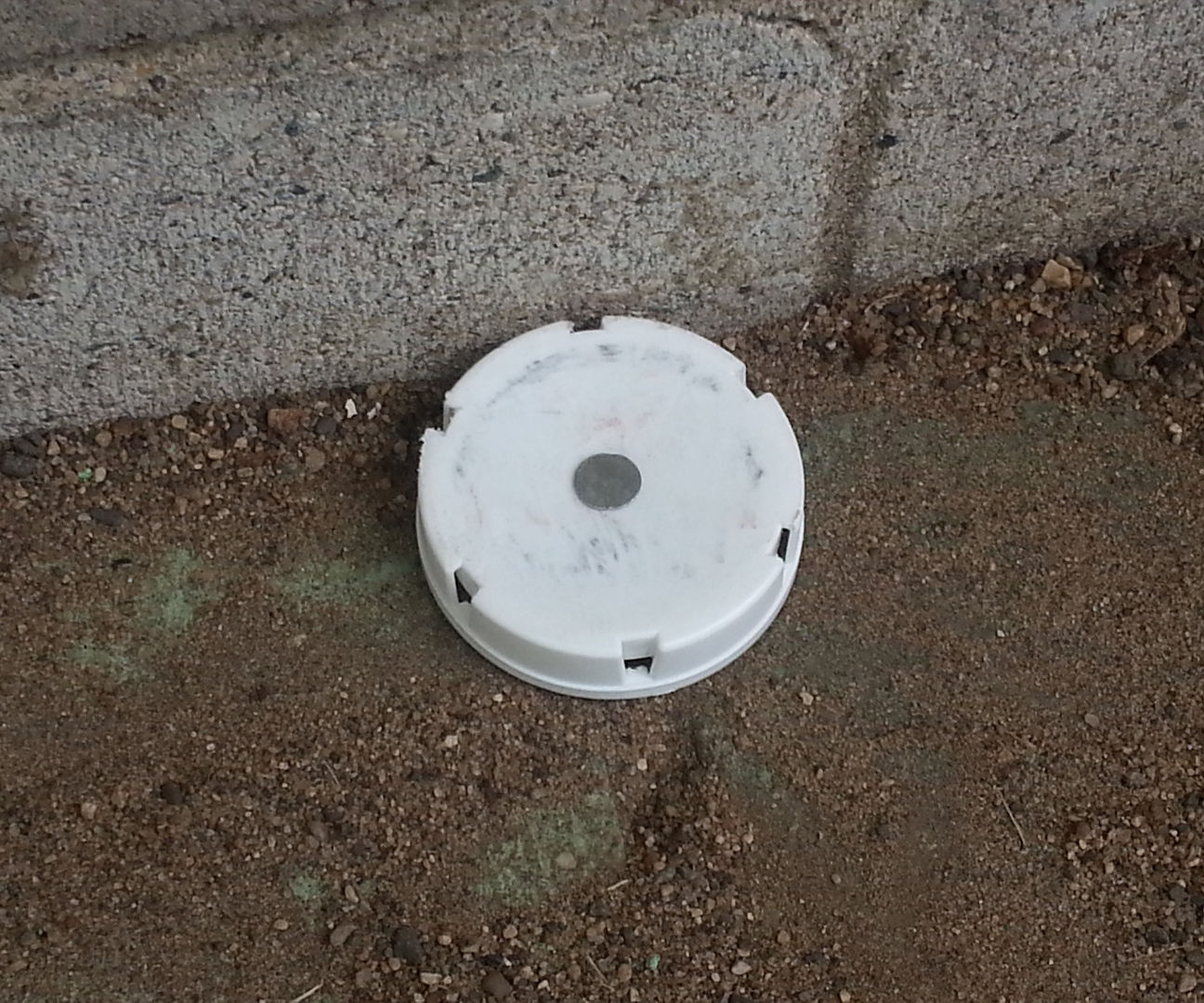 DIY Ant Baits From Prescription Bottle Covers 