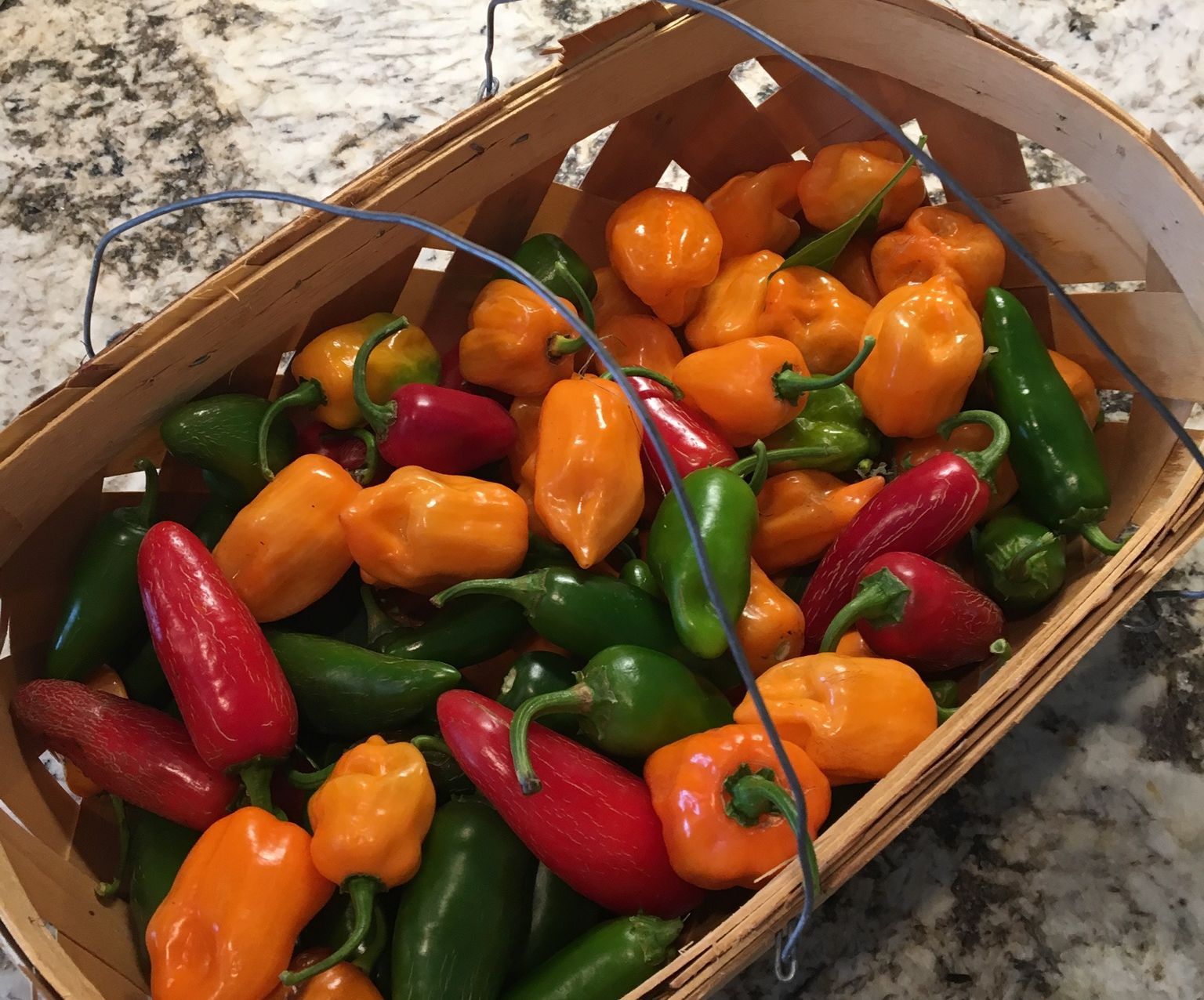 Extreme - Blackberry / Habanero / Jalapeno Jelly