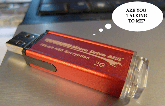 Making a Talking Thumb Drive to "protect" Your Data.