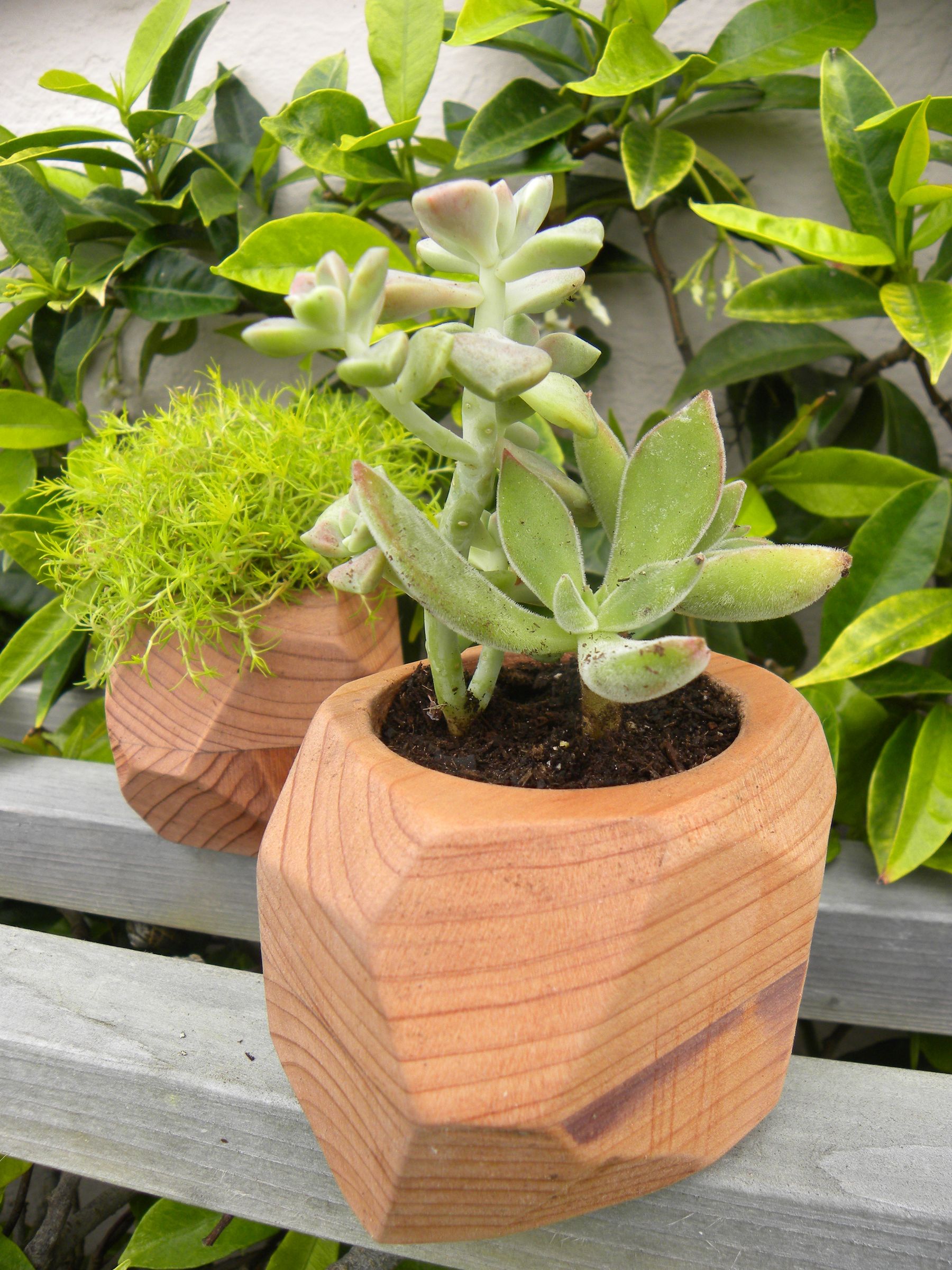 Redwood Rock Planters