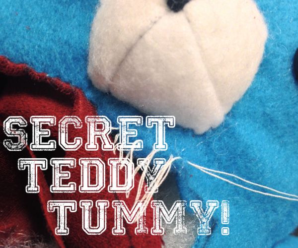 Teddy Bear Secret Tummy!!!