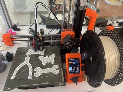 3D Print Bones