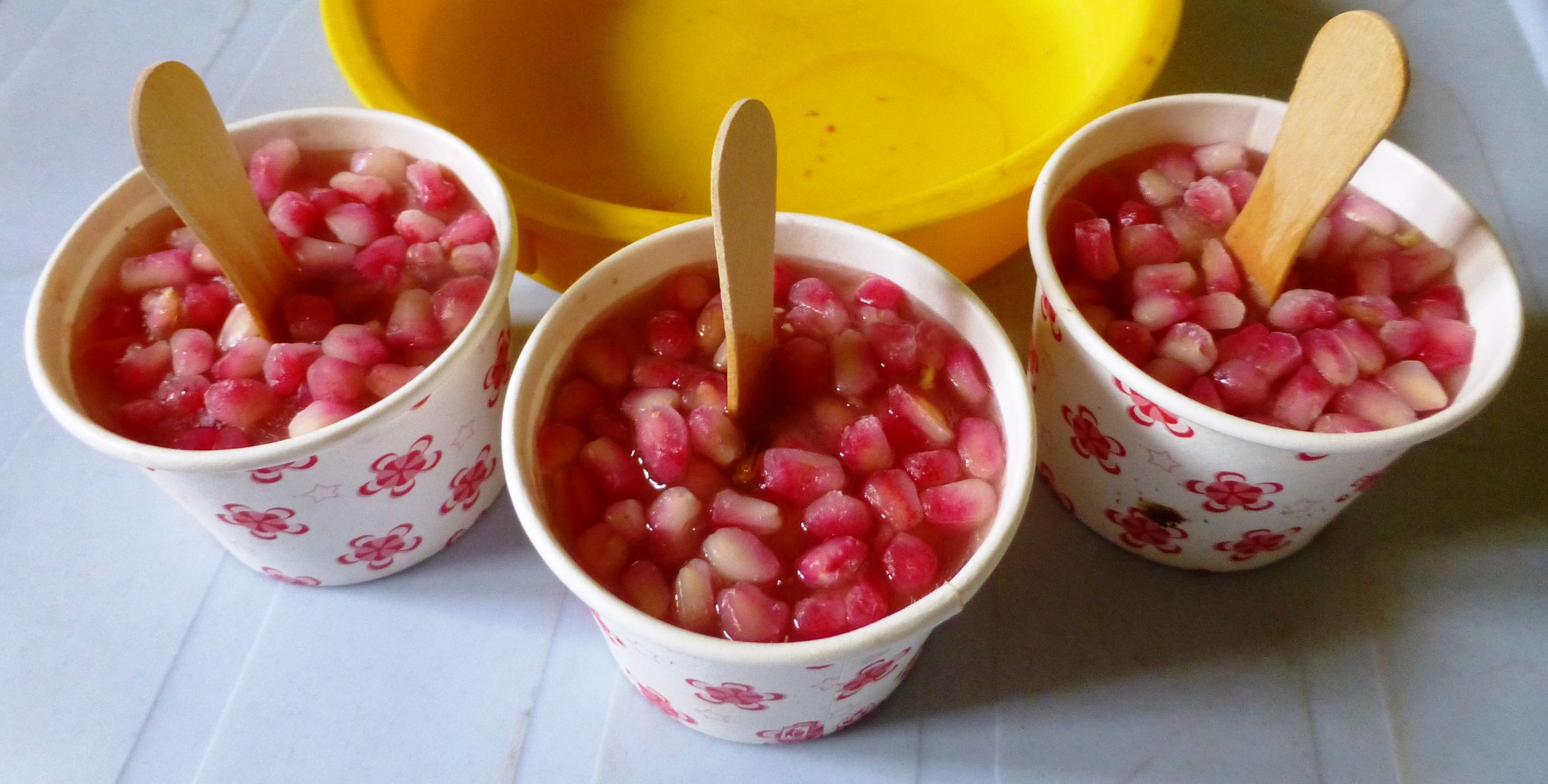 Frozen Treat From the Garden