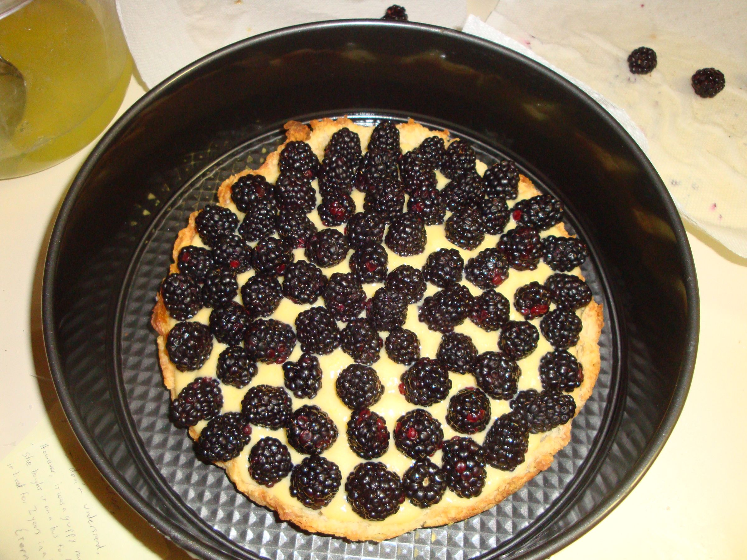 Eat Invasive Species: Himalayan Blackberry Custard Pie