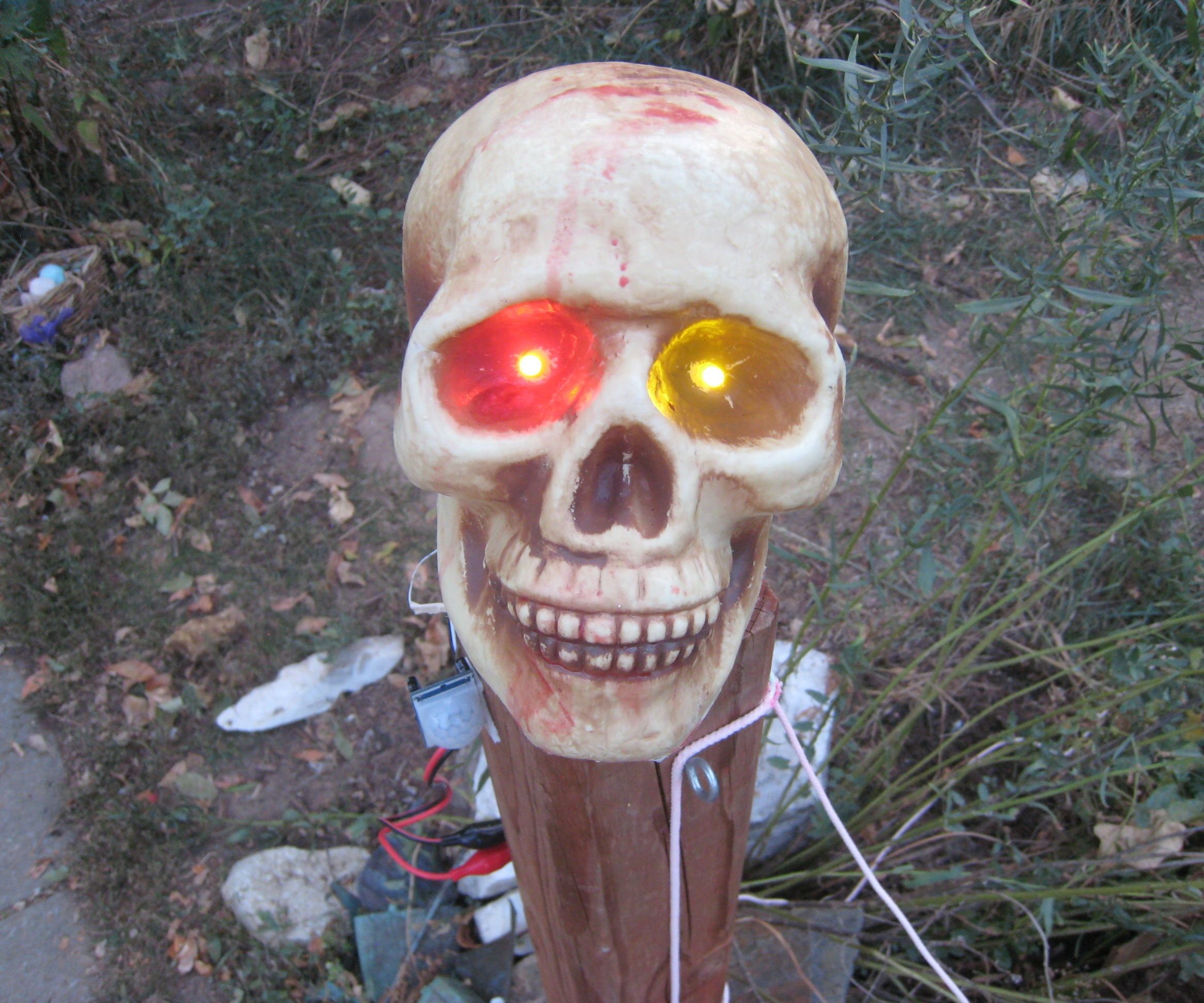 Scary, Motion-sensing, Moving, Halloween Skull