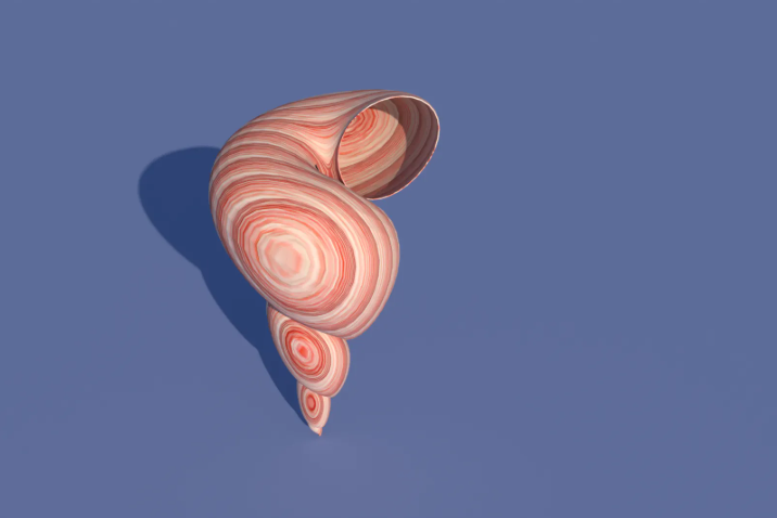 How to Design a Spiral Sea Shell Using 3D CAD Software