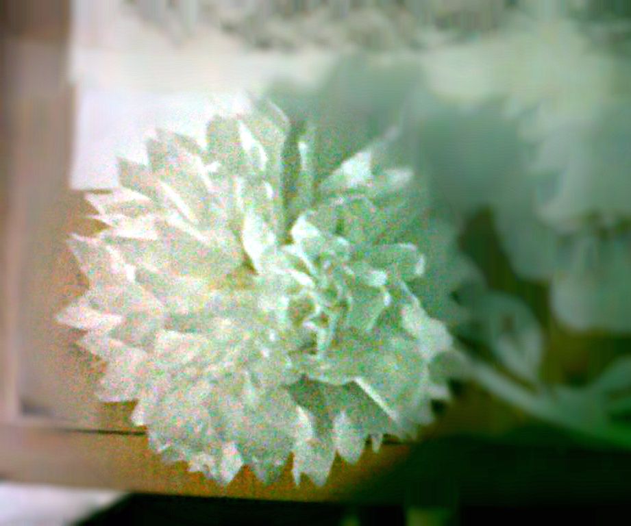 tissue flower