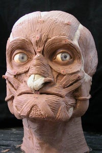 Muscles Finished and Neck Added