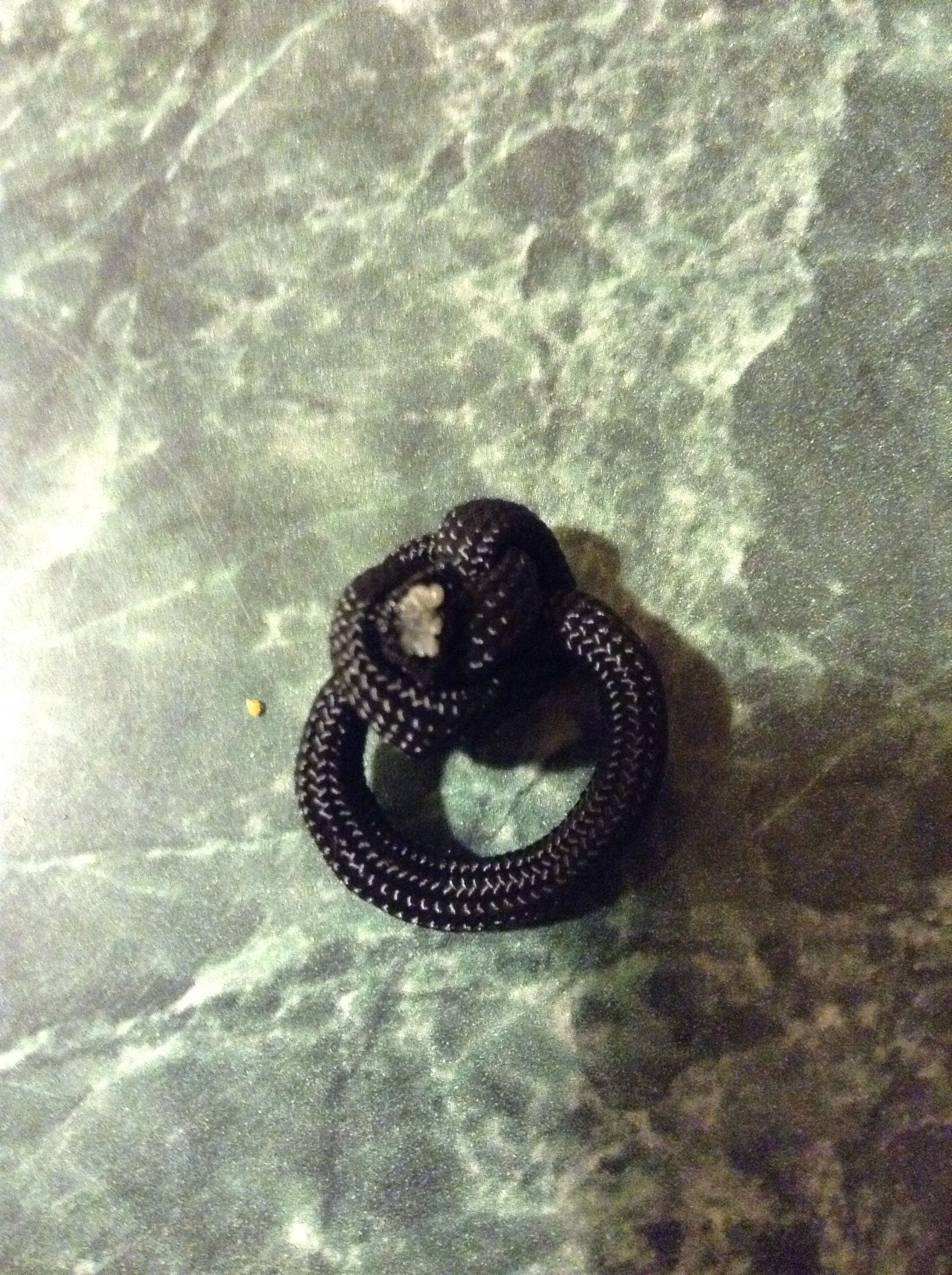Paracord Ring