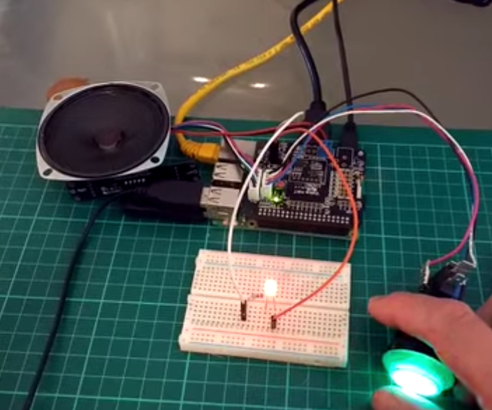 Controlling the World With Google AIY