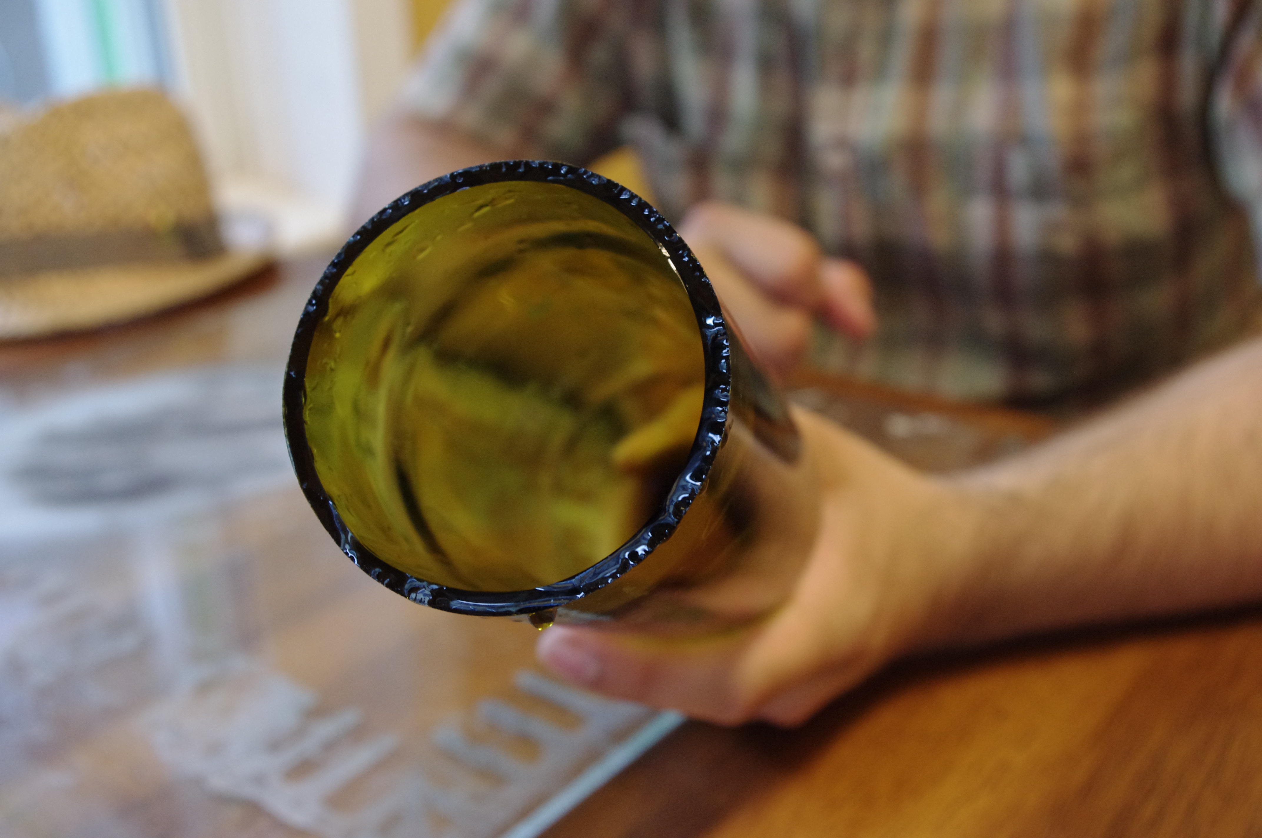 Inverted Wine Bottle Planter 7 Steps (with Pictures) Instructables