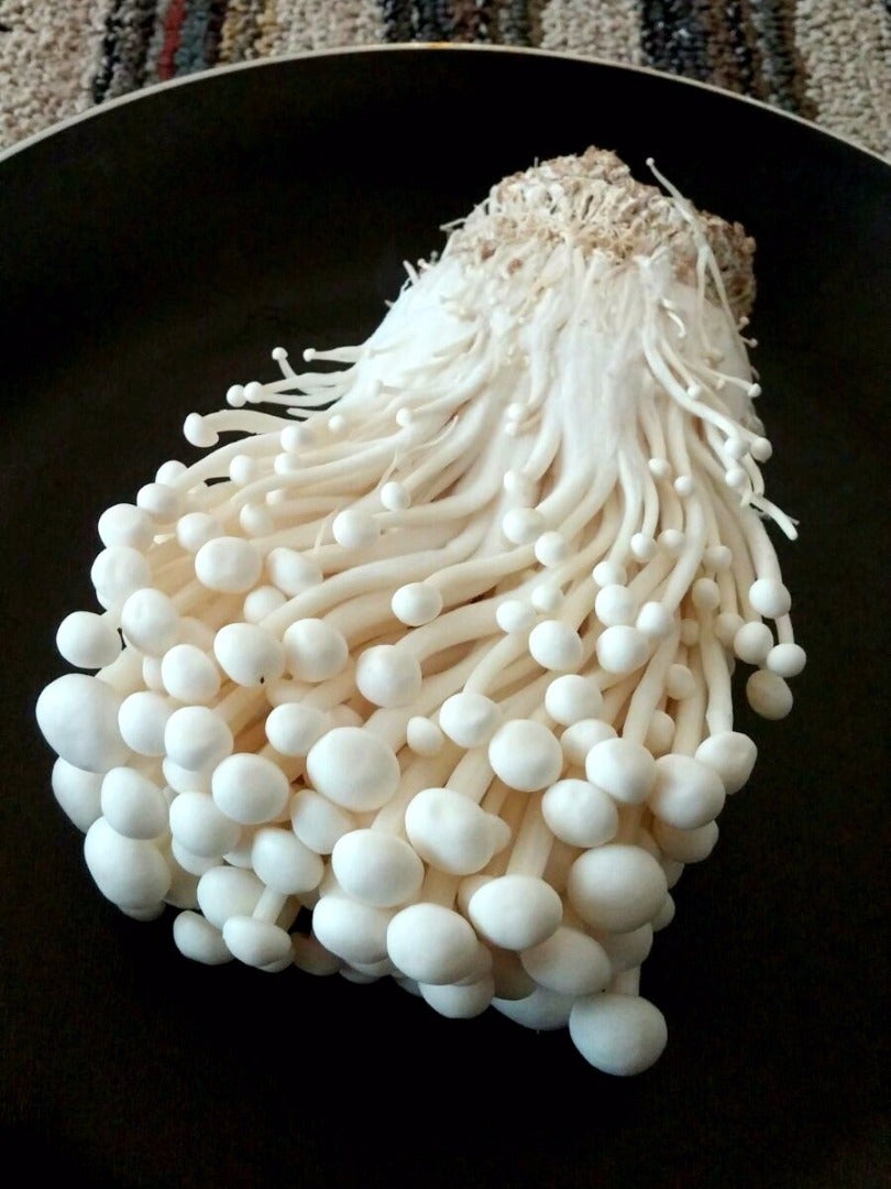 Enoki Mushroom Omelette (with Pictures) Instructables