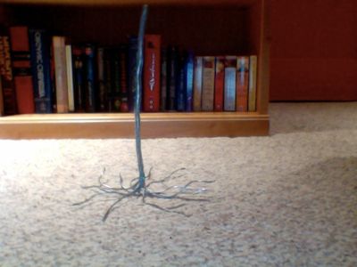 Making the Roots