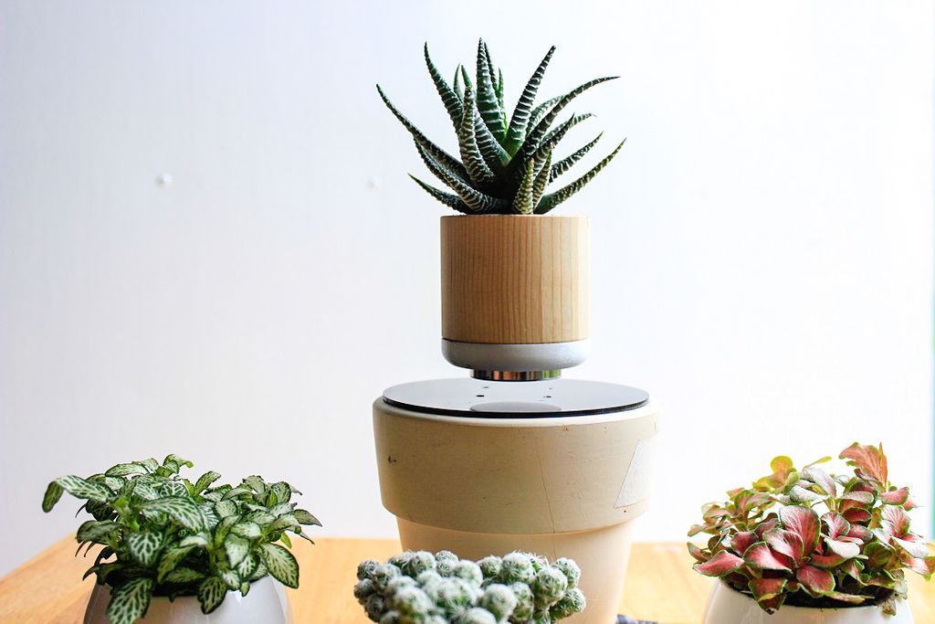 Arduino Air Bonsai Levitation : 22 Steps (with Pictures) - Instructables