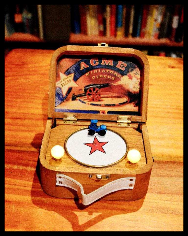 Make Your Own Flea Circus