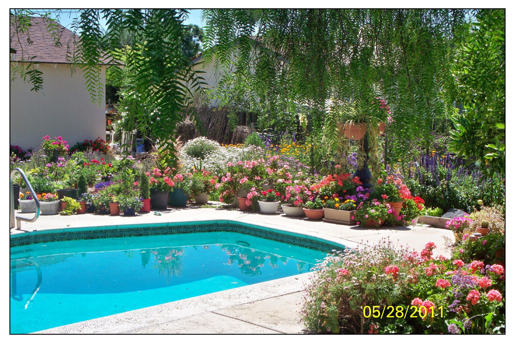 A Garden Story