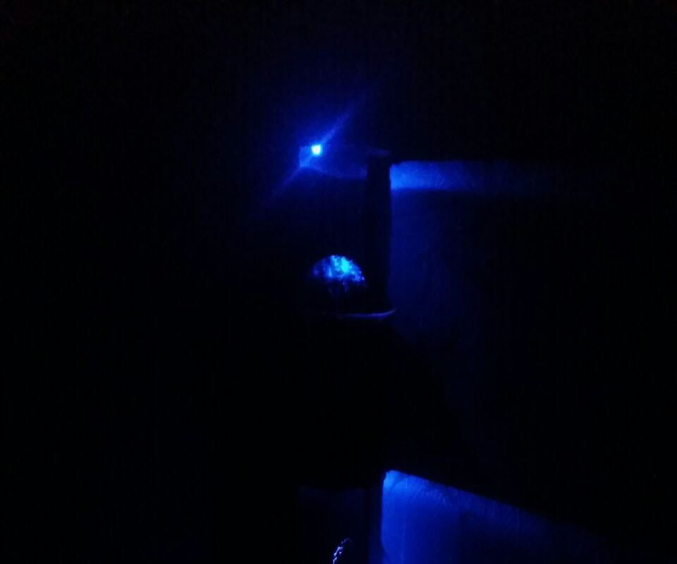 Cactus NightLight!(under 2 dollars)