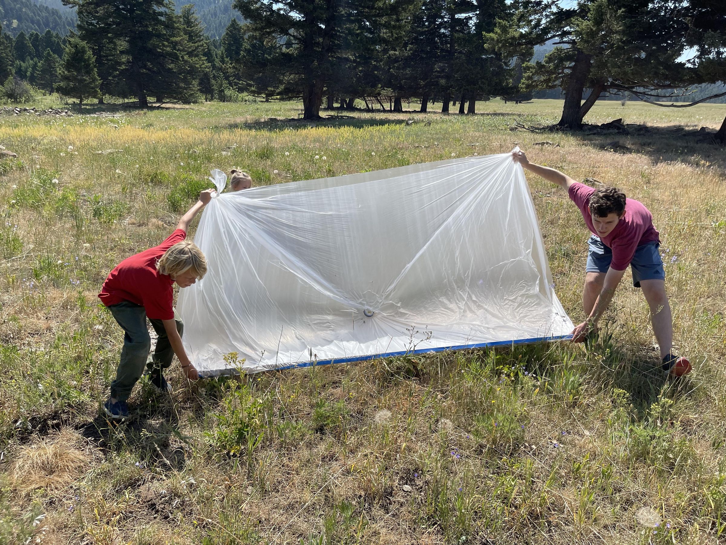 How to Catch for Pet Food. a Trap (with