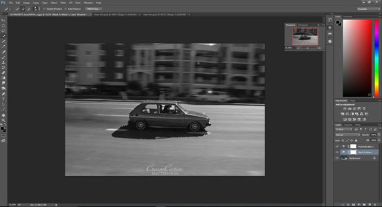Recolor the Image's Subject