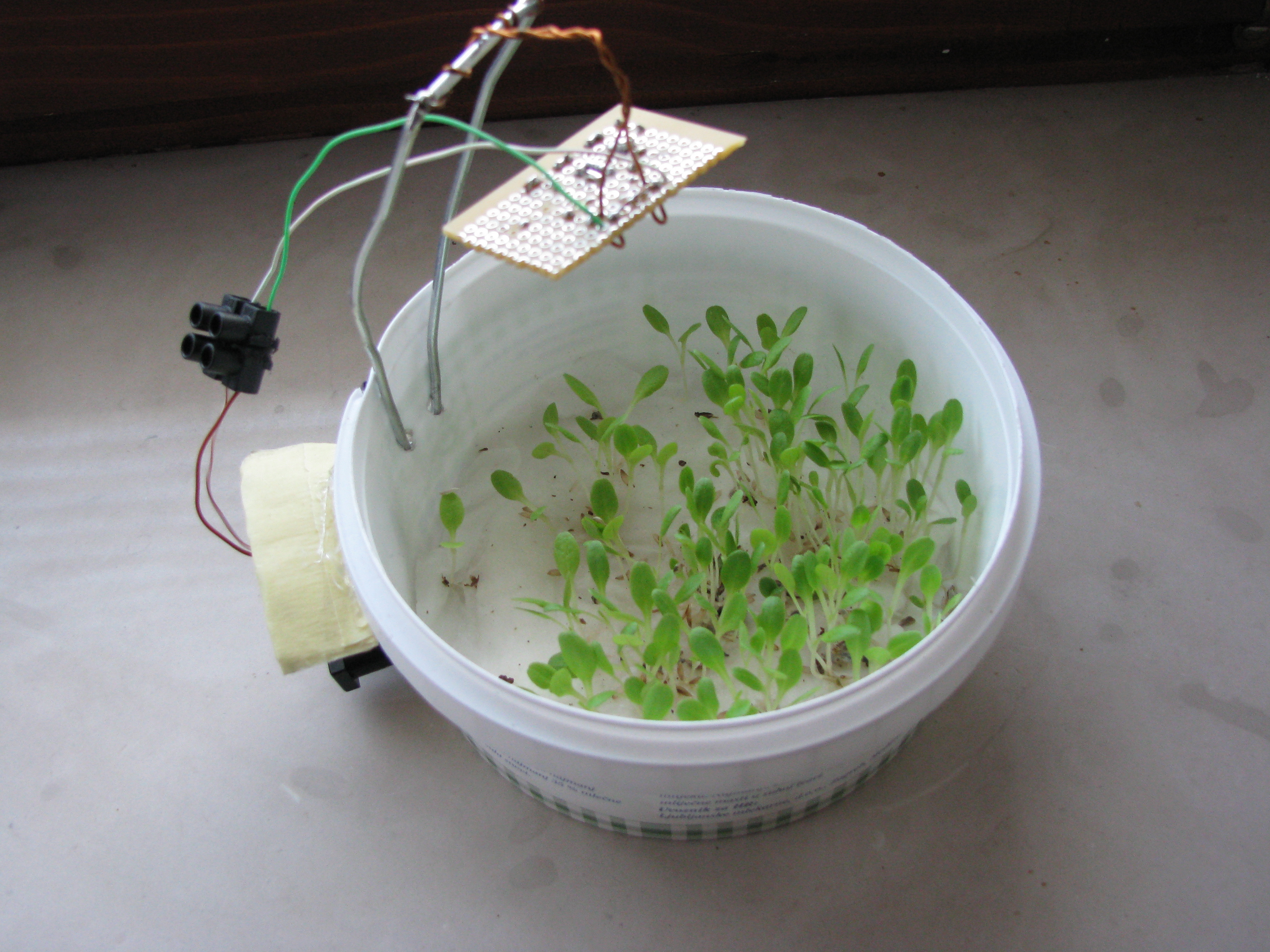 Make an automatic plant light