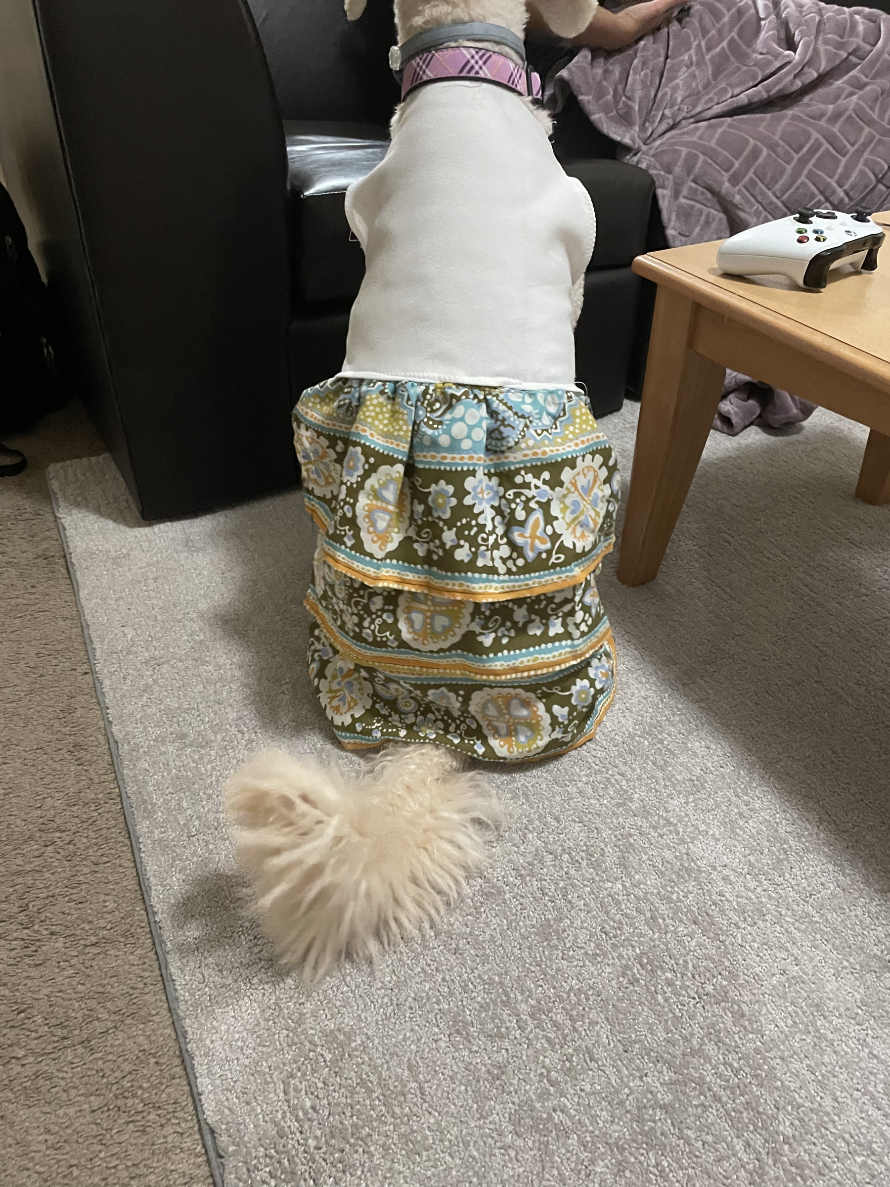 Dog Dress