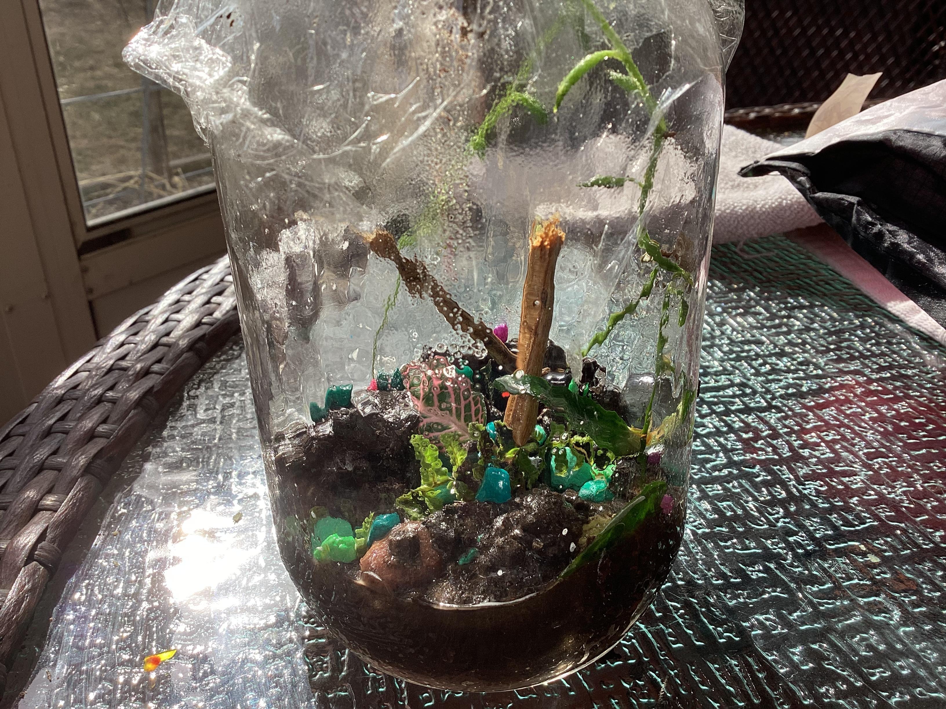 Tropical Terrarium Made Out of a Mason Jar 5 Steps Instructables