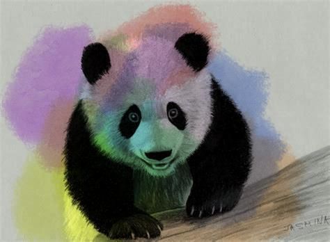 J Panda