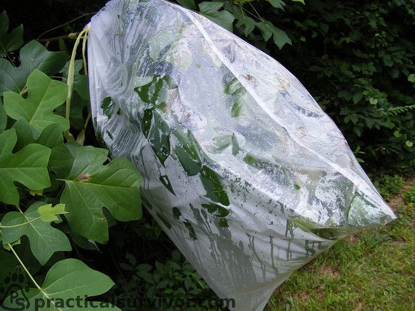 How to filter and purify water