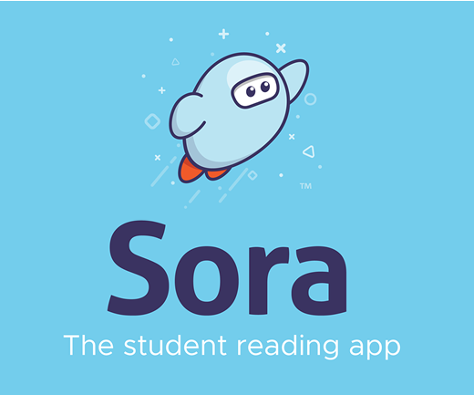 How to Use the Sora Library App