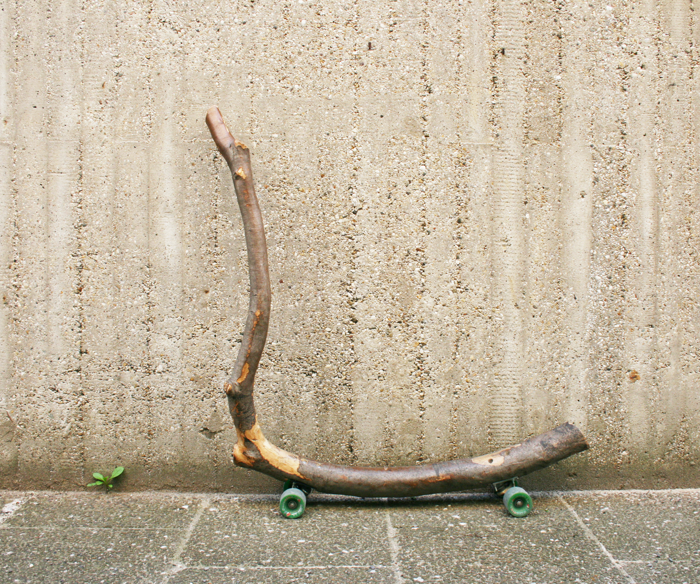 BRANCHBOARDING / TREE OF MOTION