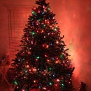 The Best Christmas Gift Ever