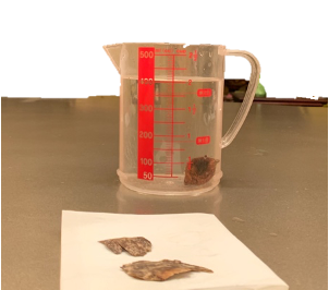 خطوات تطبيق التجربة 