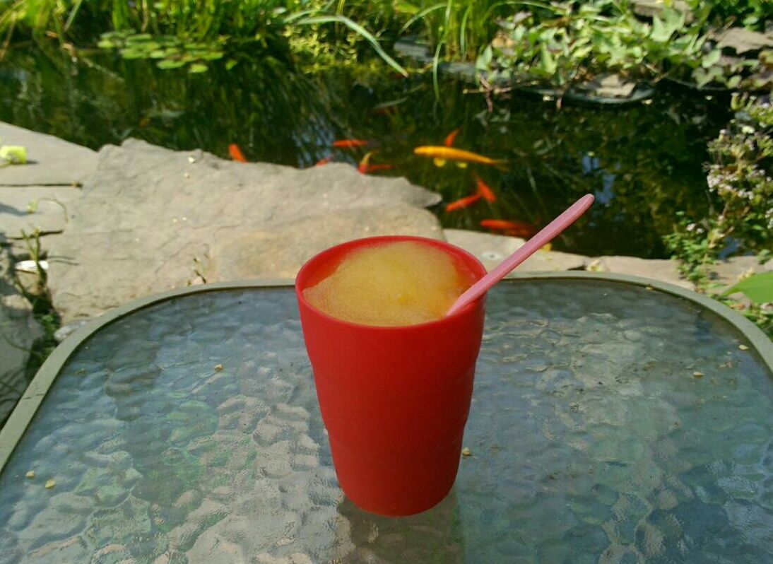 How to make; Water Ice
