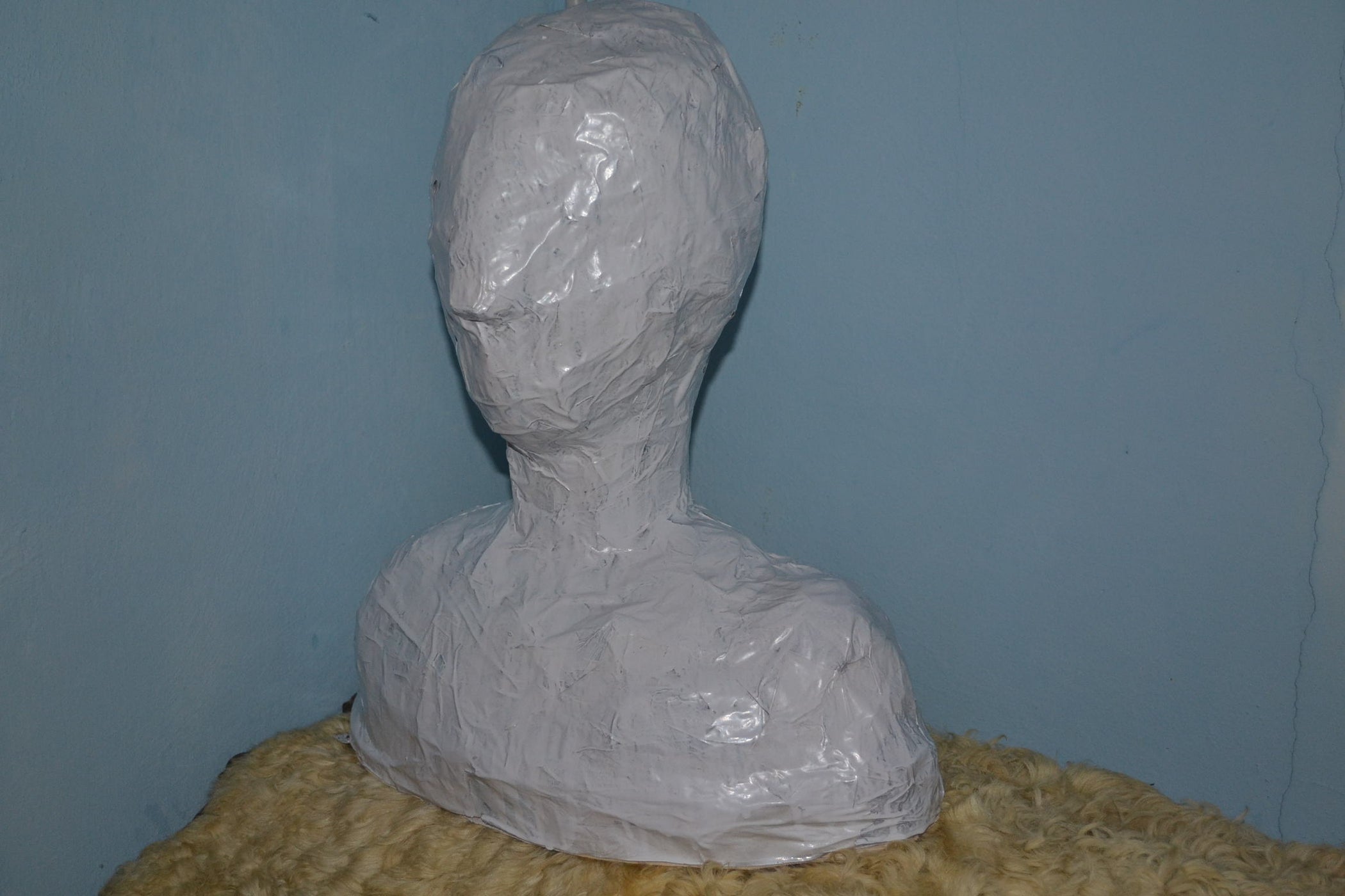 MANNEQUIN (head and Shoulders) ☆ 7 Steps (with Pictures) Instructables