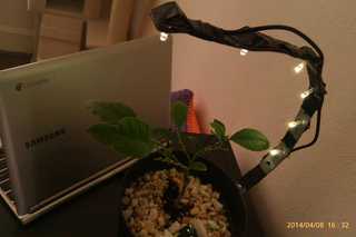 USB Powered LED Grow Light 4 Steps Instructables