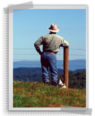 Steps on Planning an Electric Fence Installation