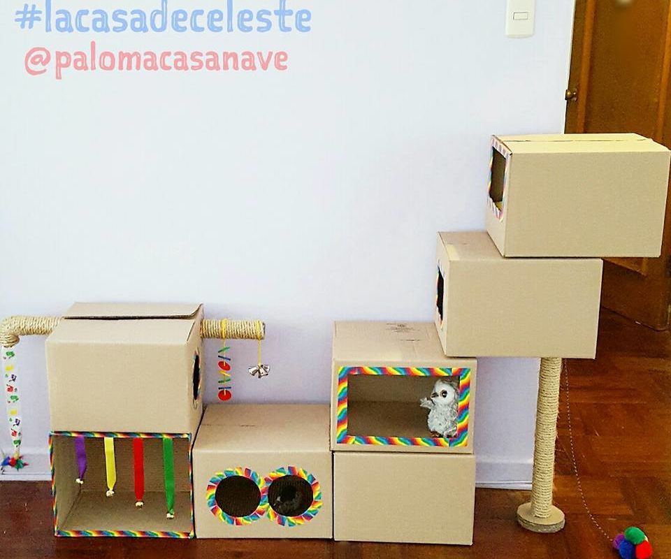 Celeste´s Cardboard Playground