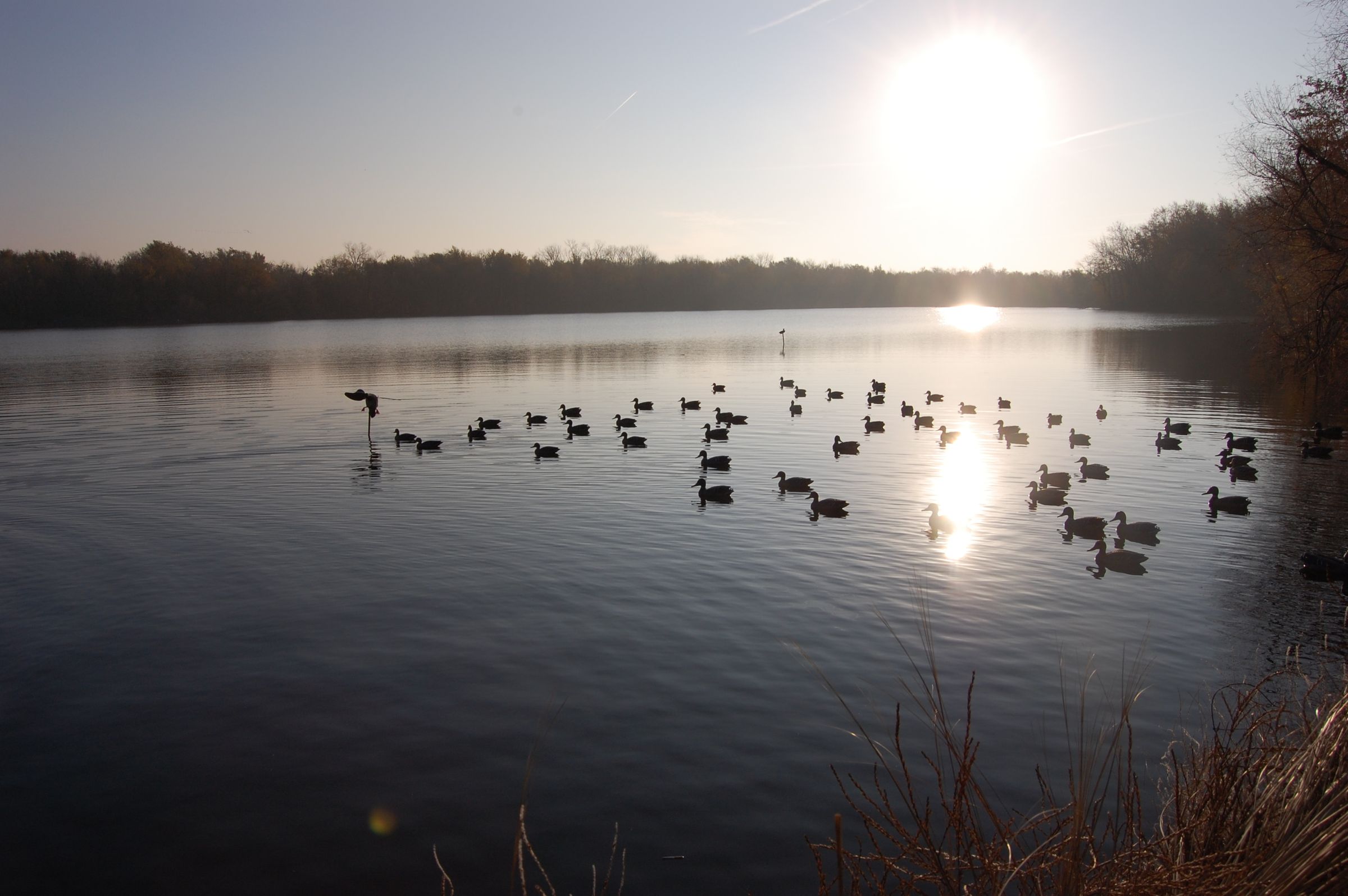 How to Equip Yourself for Duck Hunting