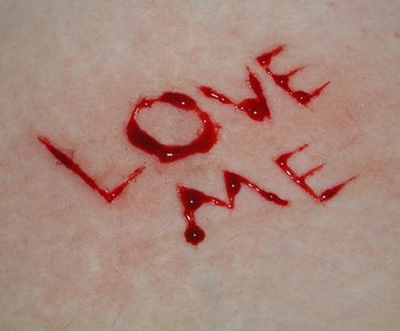 I'd Do Anything for Love (But I Won't Do That)