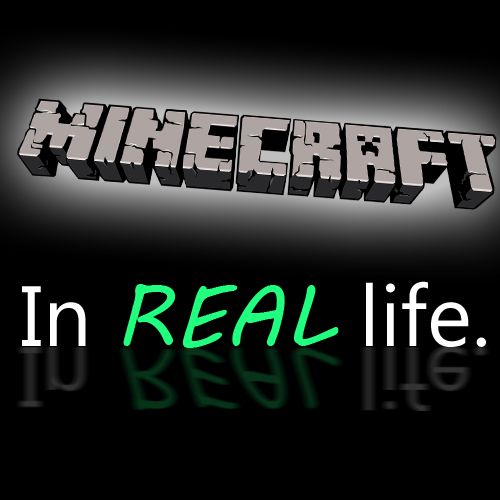 Minecraft in Real Life