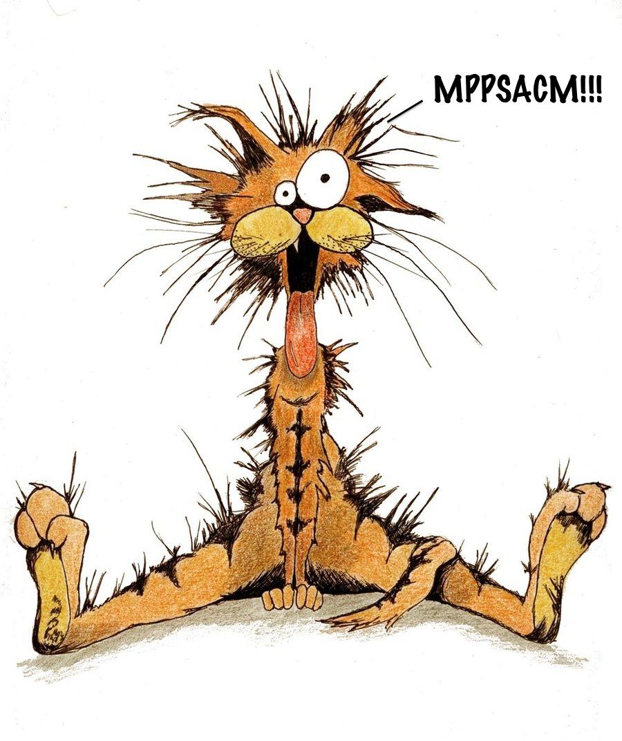 The Magnificent Mendel Prusa Power Supply Adjustable Cradle Mount (aka MPPSACM)