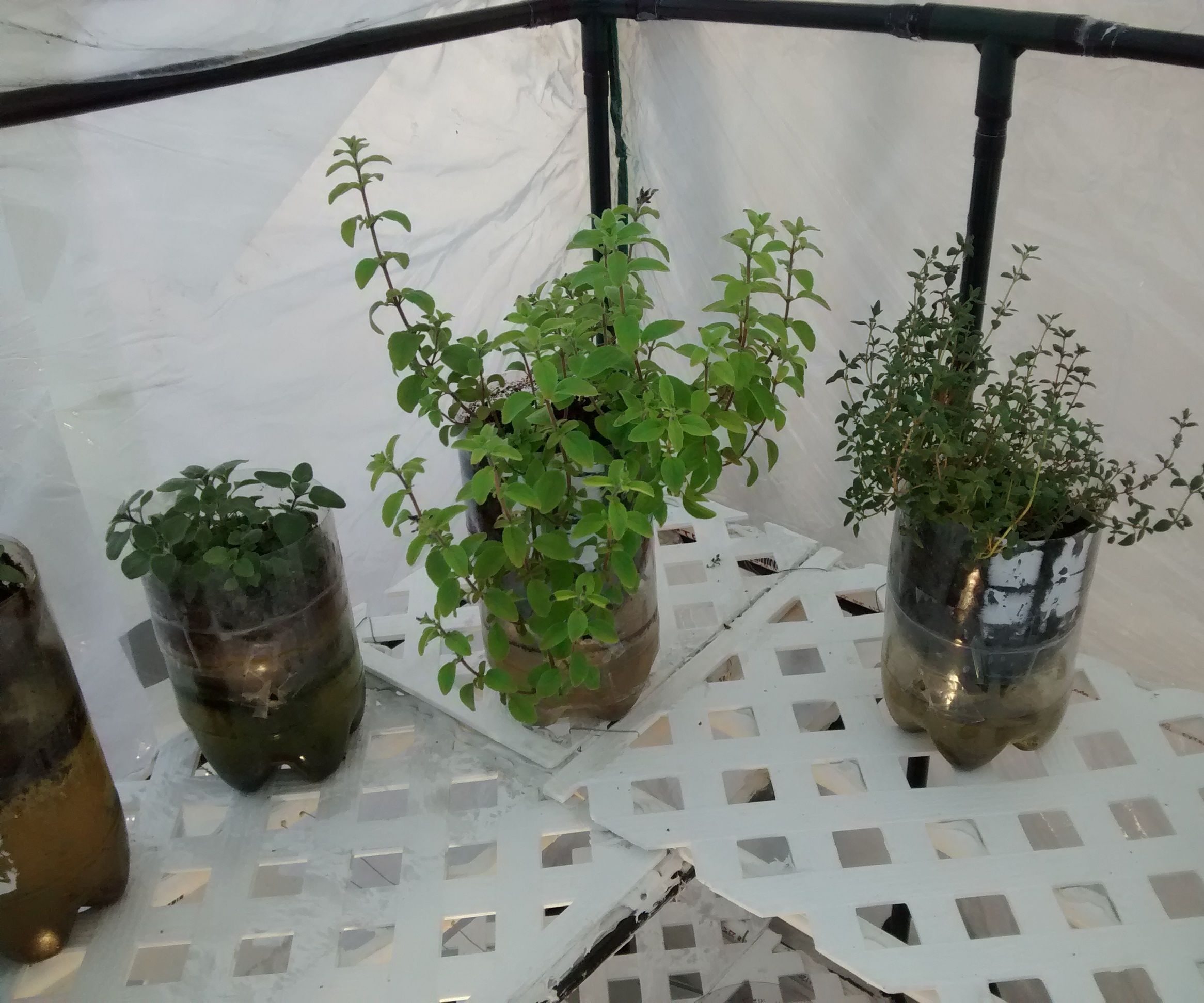 5 Minute Self Watering Planters