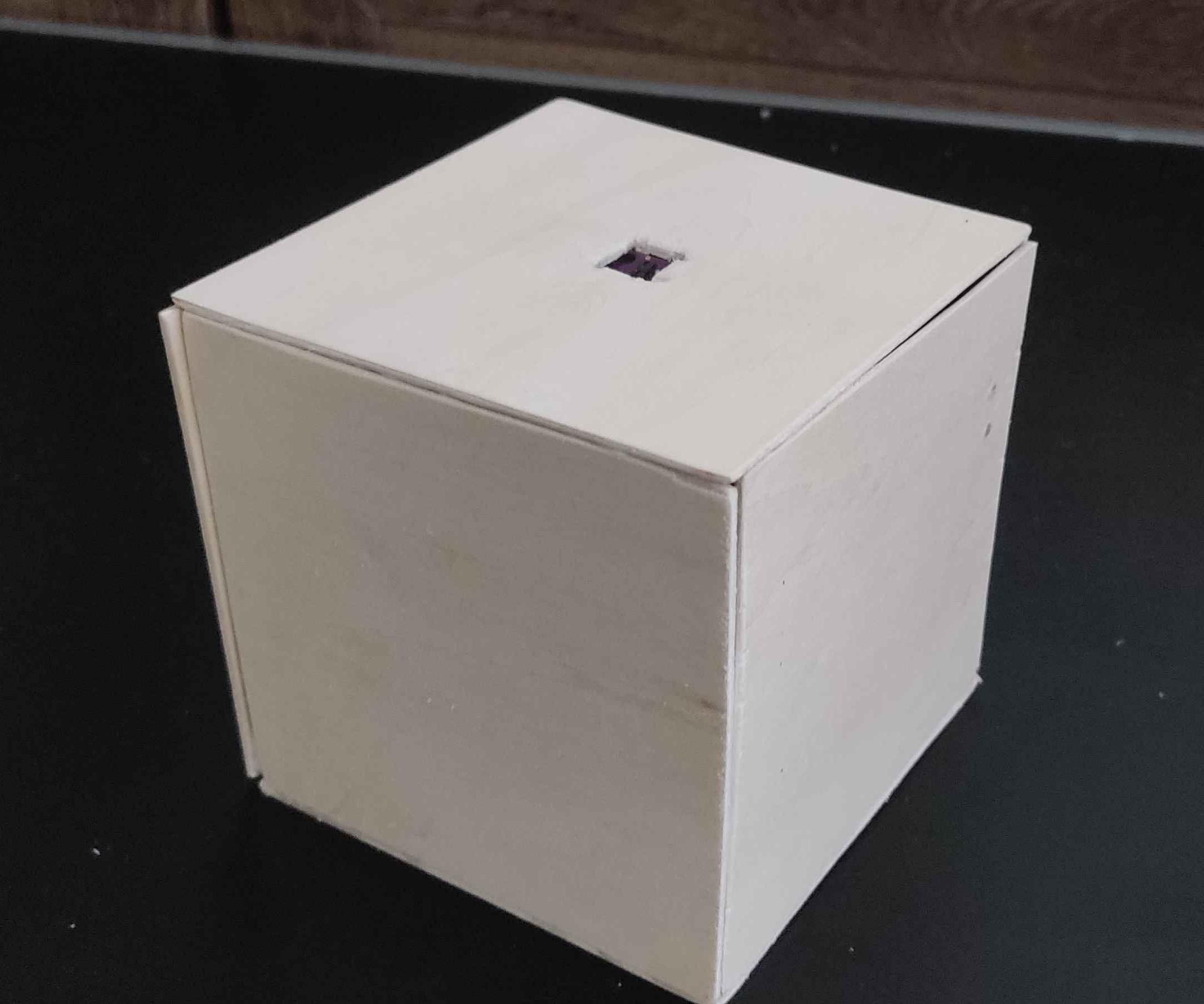 "Don't Touch Me Box"