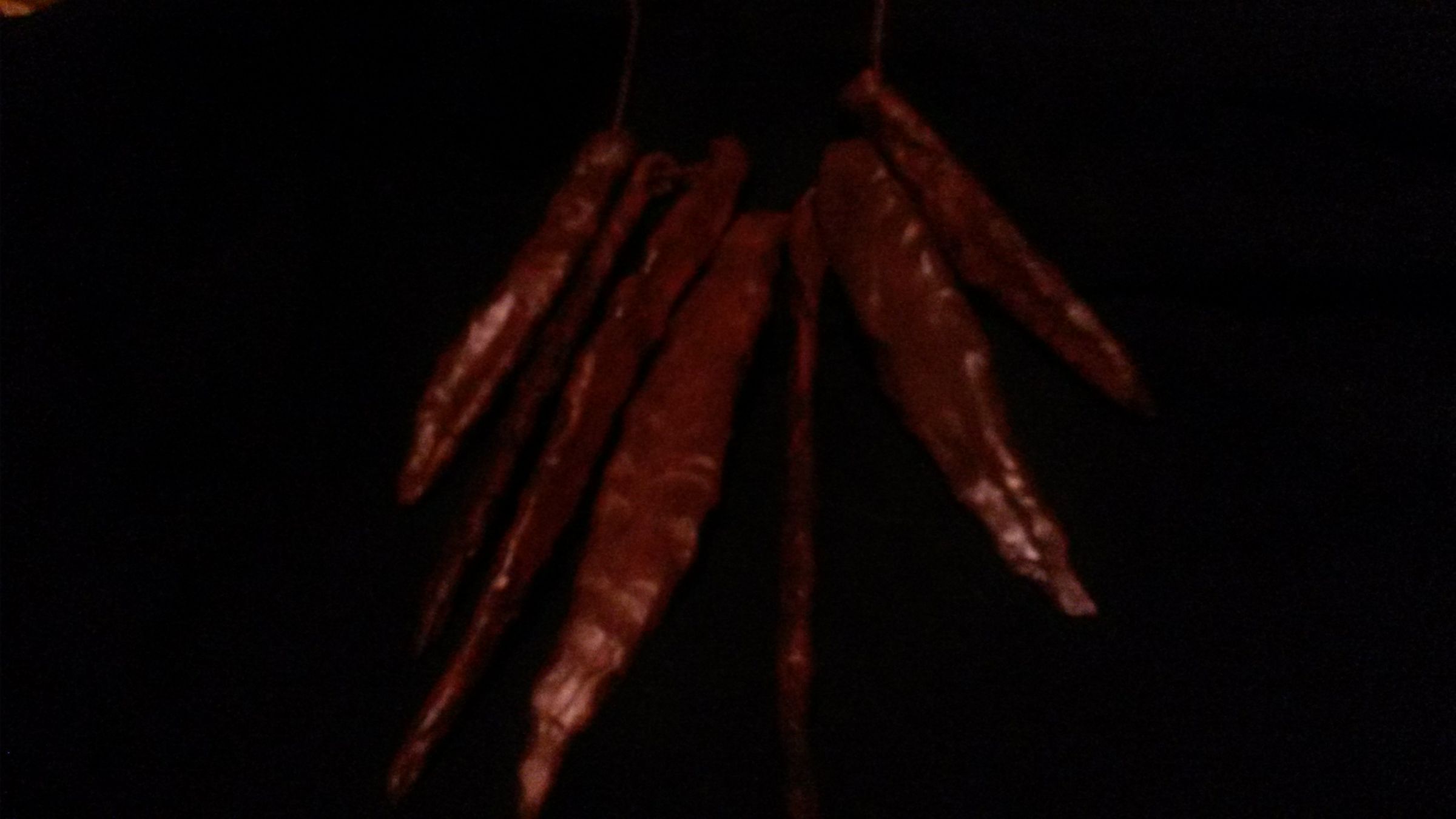 SciFi Tooth Necklace, aka: Red Plains Rider Lava Beast Tooth Necklace