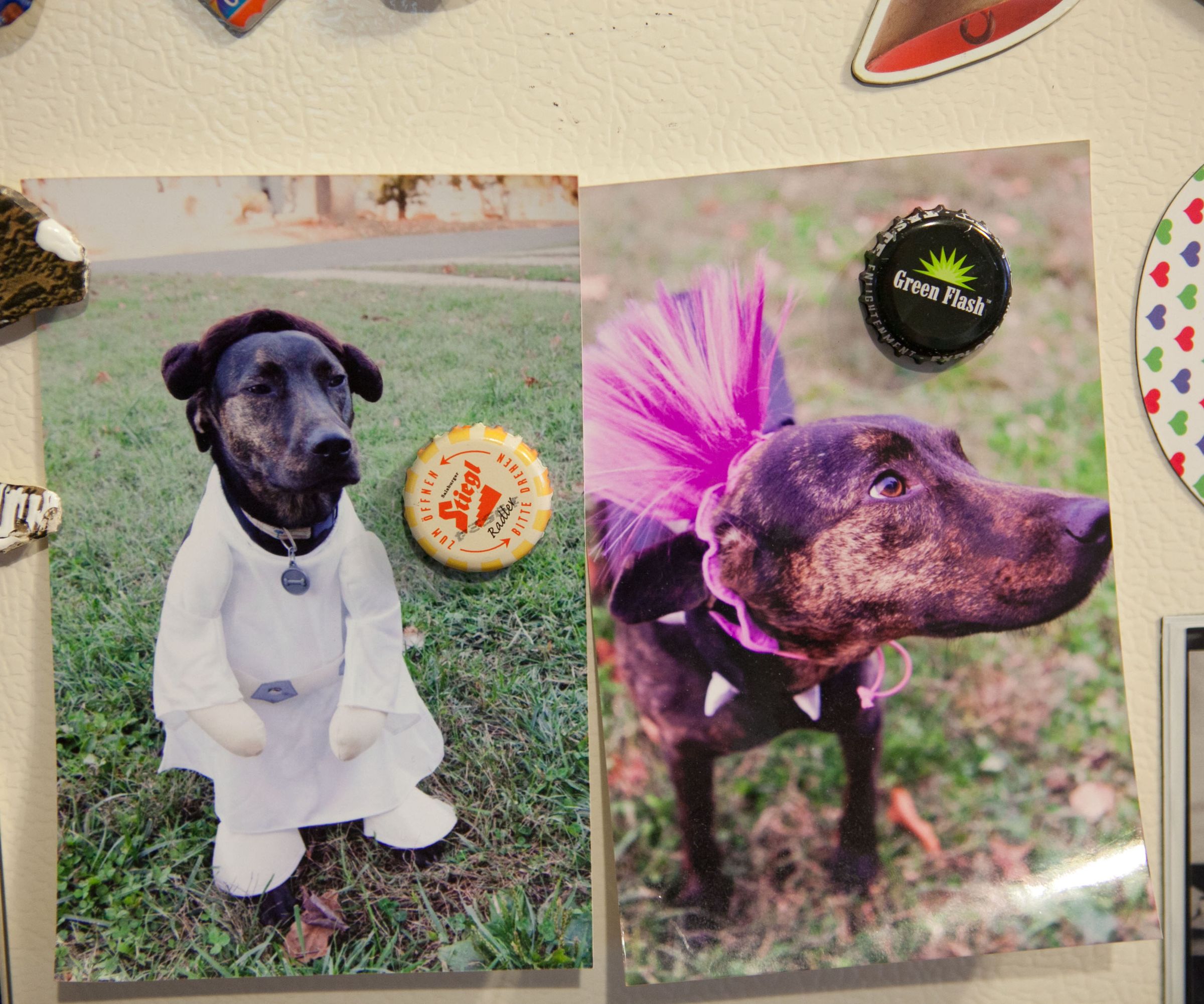 DIY Bottle Cap Magnets