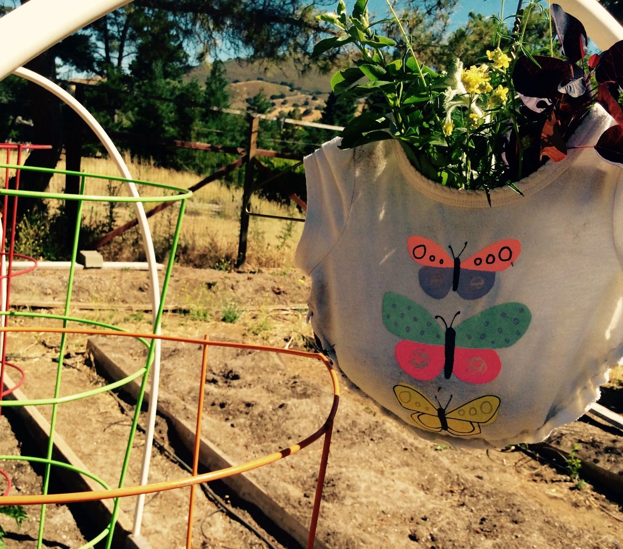 T-shirt Hanging Garden