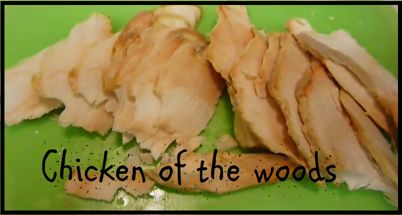 Cooking Chicken of the Woods: Laetiporus Sulphureus
