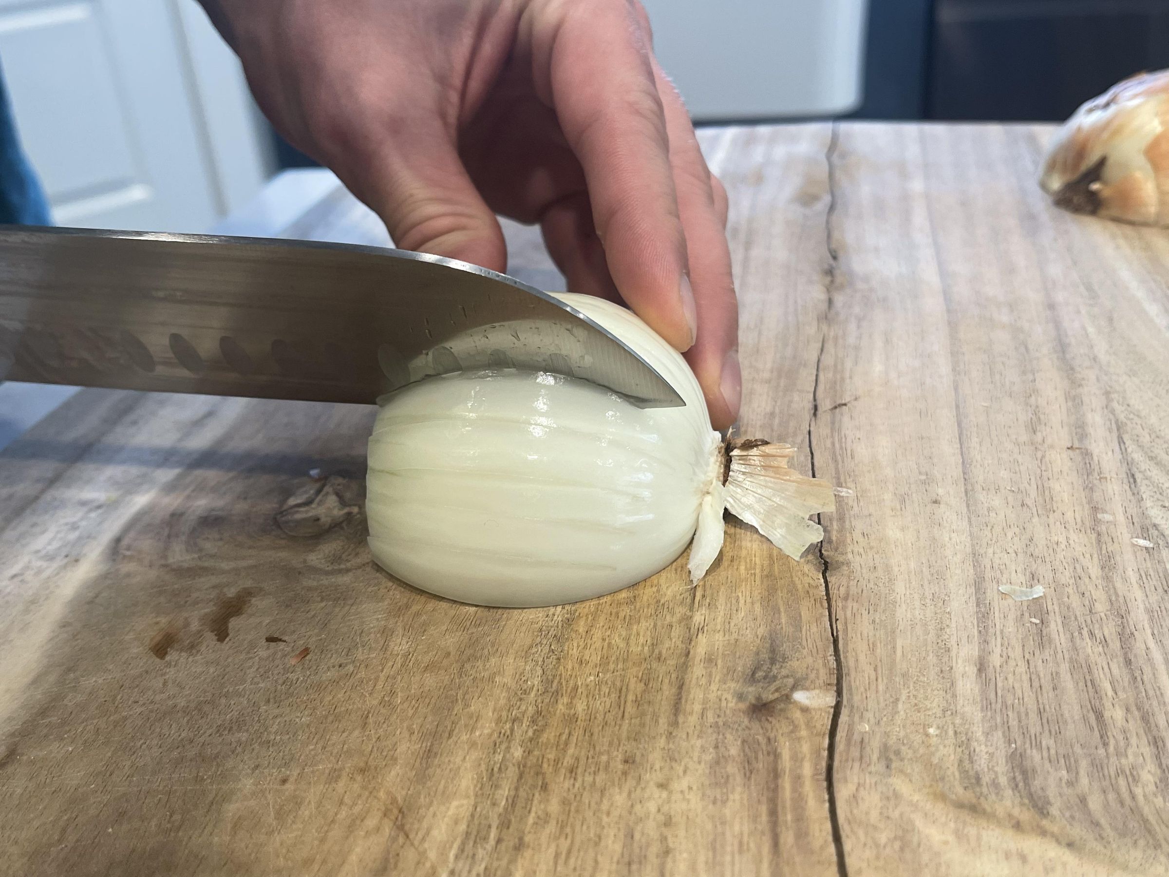 How to Properly Dice an Onion 10 Steps Instructables