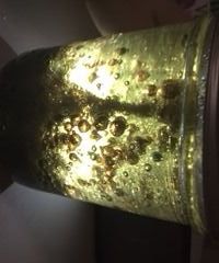 DIY Mason Jar Lava Lamp!