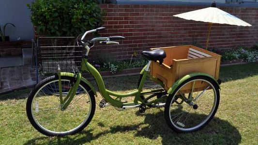 My Rickshaw (with Pictures) - Instructables